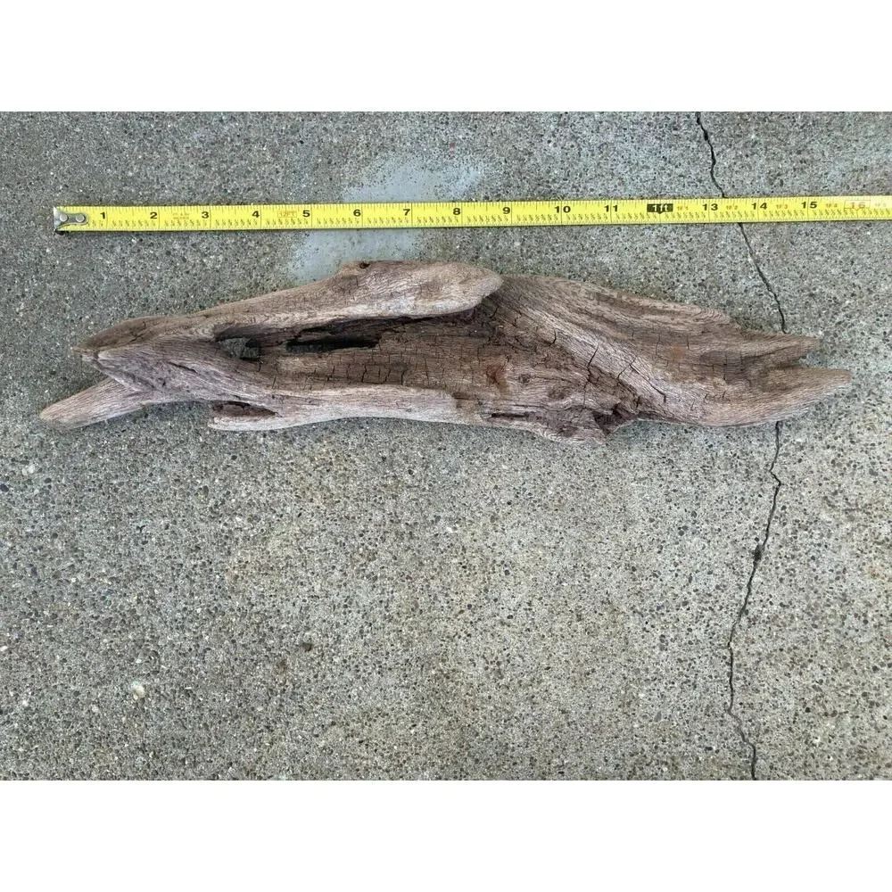 Ohio River Driftwood 15.5